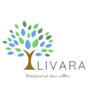 A-Livara Hemtjänst AB logo