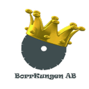 BorrKungen AB logo