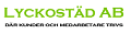 Lyckostäd i Stockholm AB logo