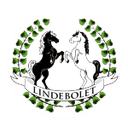 RIDFÖREN LINDEBOLARNA logo