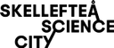 Skellefteå Science City AB logo
