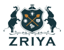 Zriya Solutions AB logo